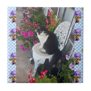 Tuxedo Gato flor Funny Cats viola Azulejo cerâmic