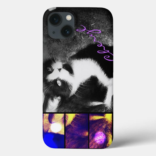 Tuxedo Kitten Foto Art iPad Mini Retina Case (Verso)