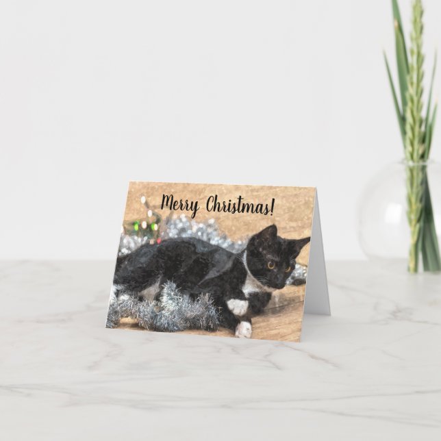Tuxedo Kitten Tinsel e Cartão de Natal Luzes (Frente)