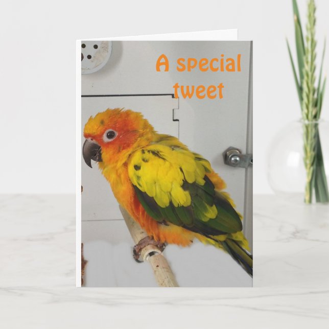 "TWEETING" VOCÊ É UM CARTÃO DE FERIADO MUITO FELZ  (Frente)