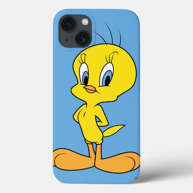 TWEETY™ | Pássaro inteligente (Verso)