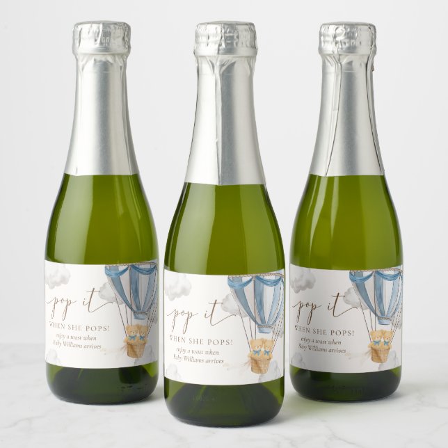 Twins Bearly Wait Teddy Bear Pop It When She Pops (Garrafas)