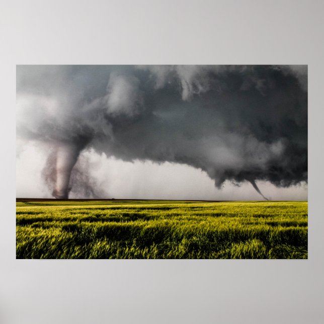 Twins Poster (Frente)