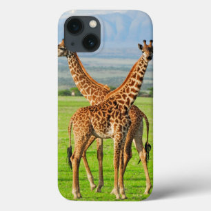 Two Giraffes