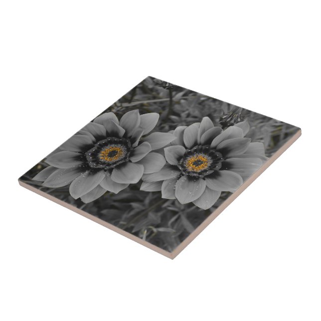 Two of a Kind (Lateral)