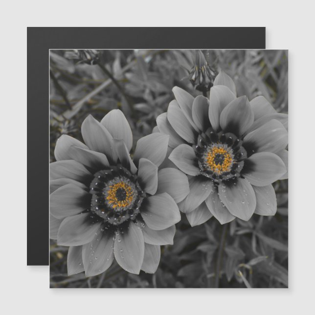 Two of a Kind Magnetic Card (Frente/Verso)