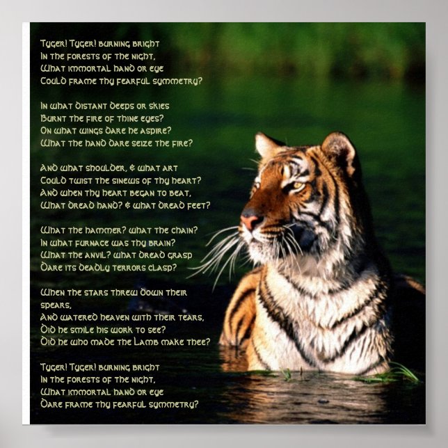 Tyger, Tyger Impressão (Frente)
