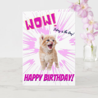 Uau Belo Cartão de Aniversário Laranja De Kitten
