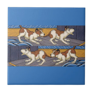 UCH! cachorro morde cachorro