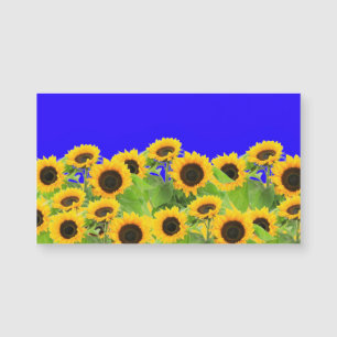Ucrânia Flag Colors Sunflower Magnet