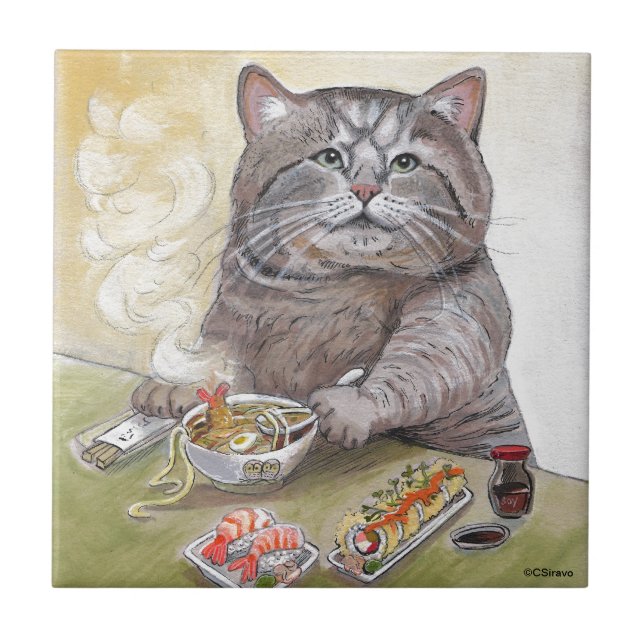 Udon do Tempura do gato do sushi (Frente)