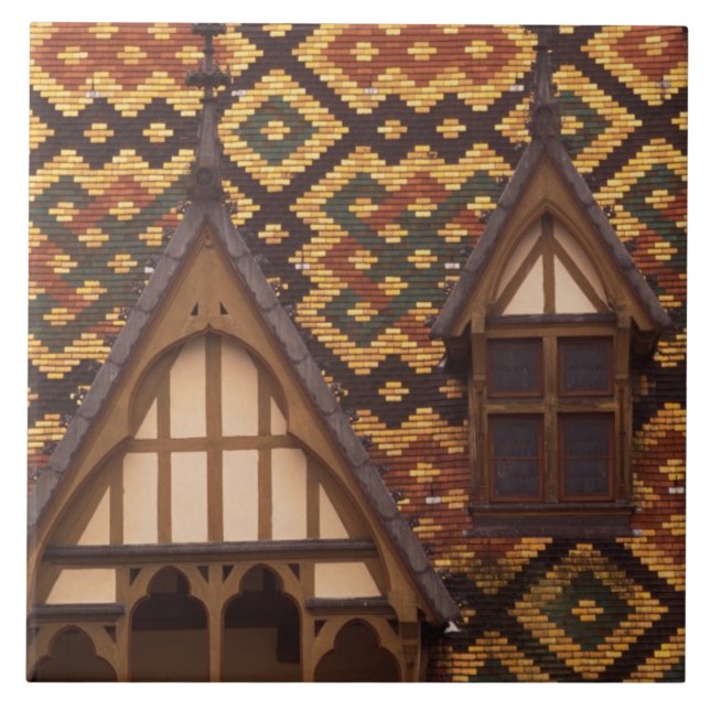 UE, França, Borgonha, Cote d'Or, Beaune. Telhado (Frente)