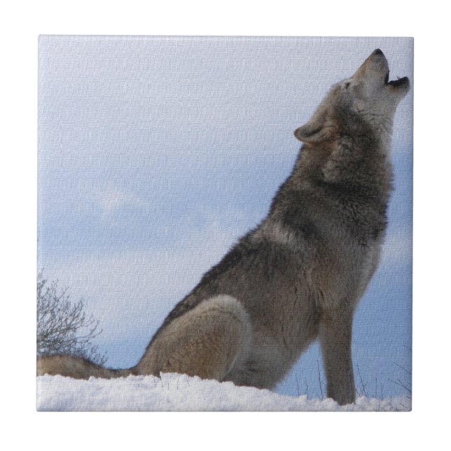 Uivo de Lobo (Frente)