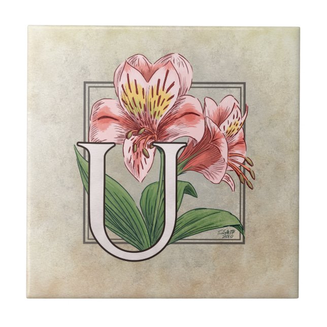 Ulster Mary Flower Floral Monograma Art (Frente)