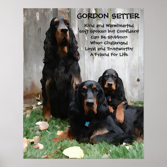 "Um Amigo Pela Vida" Gordon Setter Painting Poster (Frente)