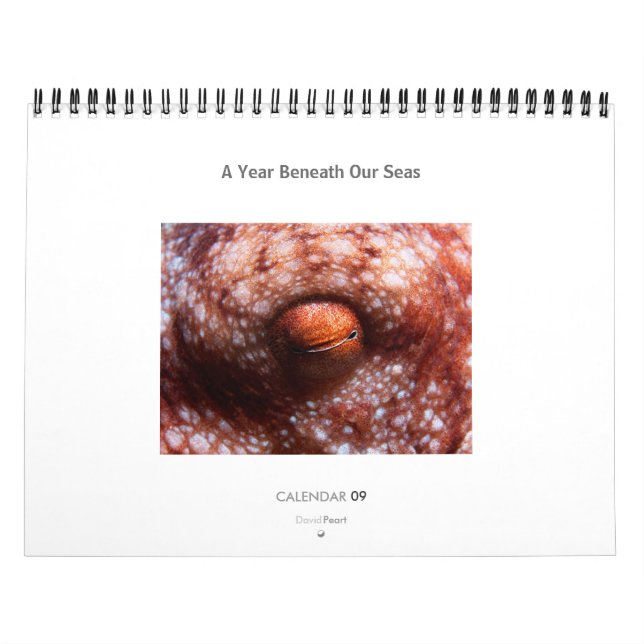 Um ano abaixo de nossos mares - calendário 2009 (Capa)