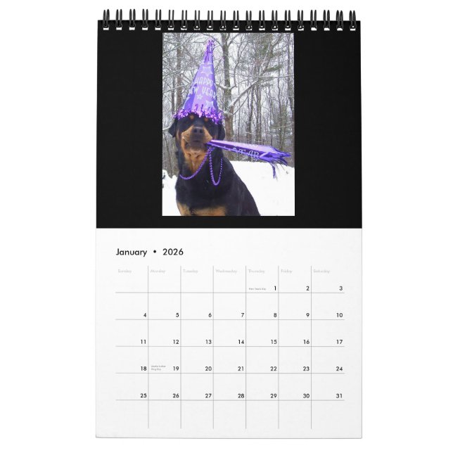 "Um ano com o calendário 2016 de Annie" Rottweiler (Jan 2026)