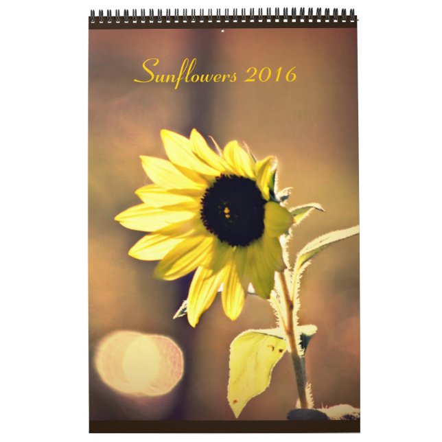 Um ano de calendário dos girassóis 2016 (Capa)