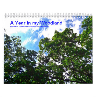 Um ano em meu calendário da floresta 2014