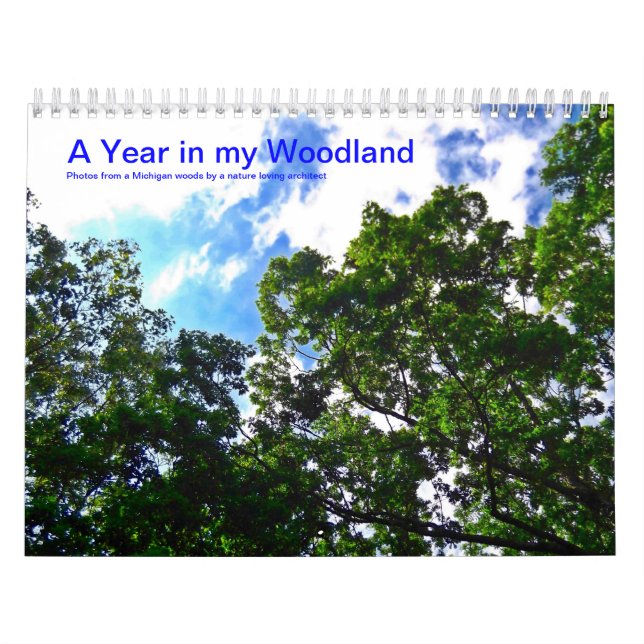Um ano em meu calendário da floresta 2014 (Capa)