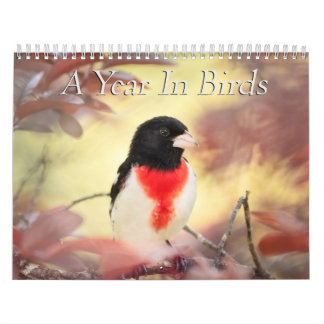 Um Ano No Calendário De Aves