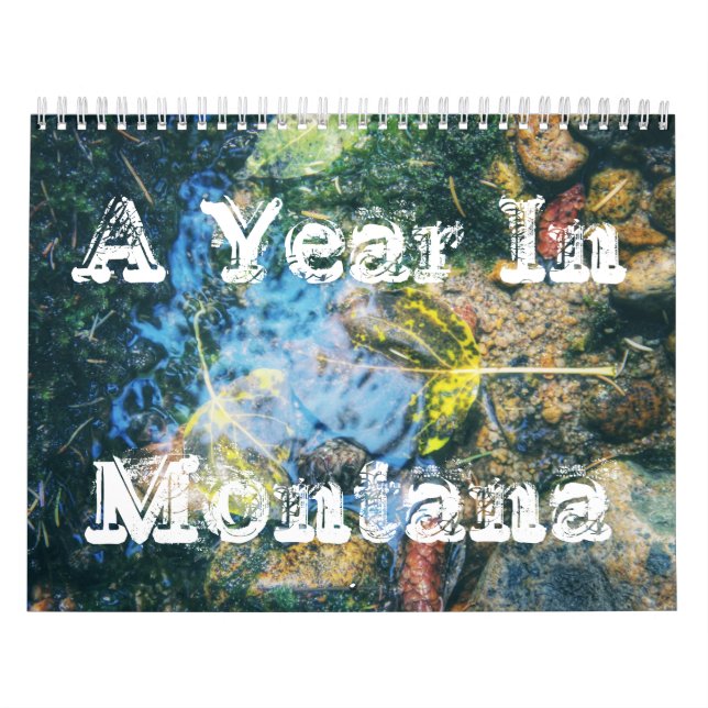 Um ano no calendário de Montana (Capa)