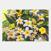 Um arranjo vibrante de plumeria branca e amarela