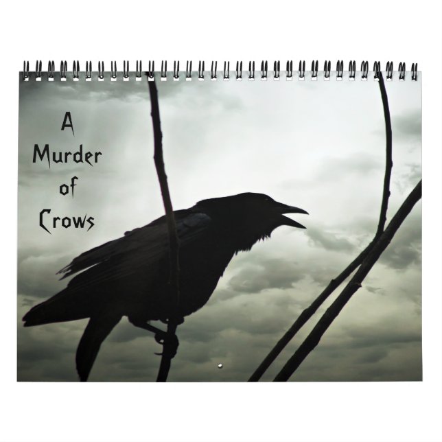 Um assassinato do calendário dos corvos (Capa)