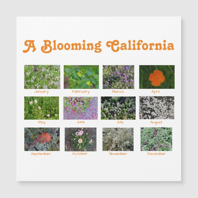 Um Blooming California (Frente)