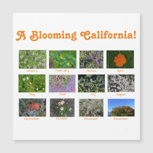 Um Blooming California