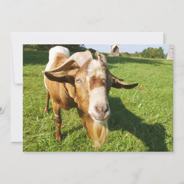 Um bode - convite (Frente)