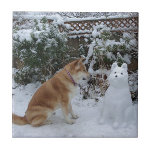 um bonitinho, sentado com um boneco de neve no cac
