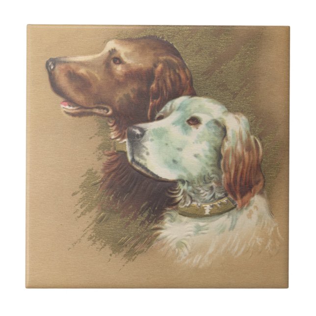 Um Brown e um cão branco (Frente)