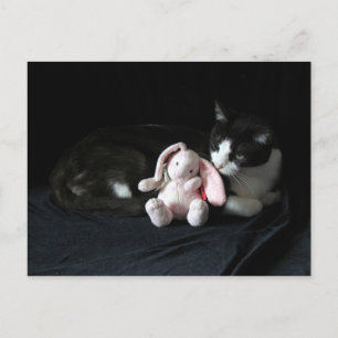 Um Bunny Me Ama No Cartão De Posto