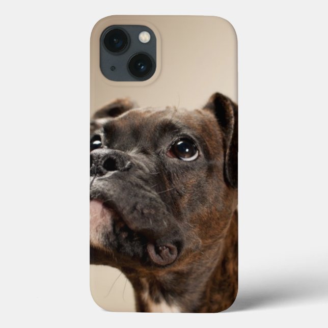 Um cachorrinho do Brindle Boxer olhando curiosamen (Verso)