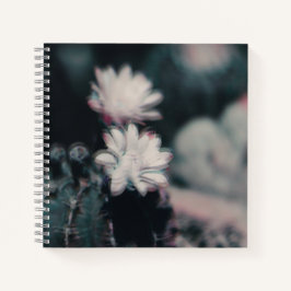 Um Caderno