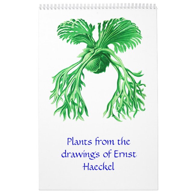 Um calendário de desenhos de plantas. (Capa)