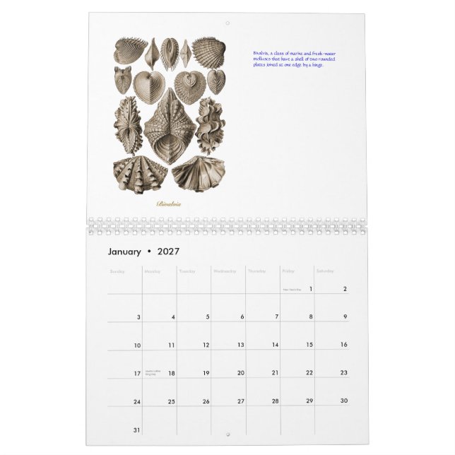 Um calendário de desenhos do escudo de Ernst (Jan 2027)