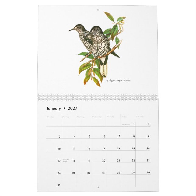 Um calendário de painitings do pássaro de John (Jan 2027)