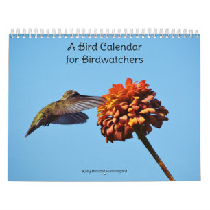 Um Calendário de Pássaros para Observadores de Pás