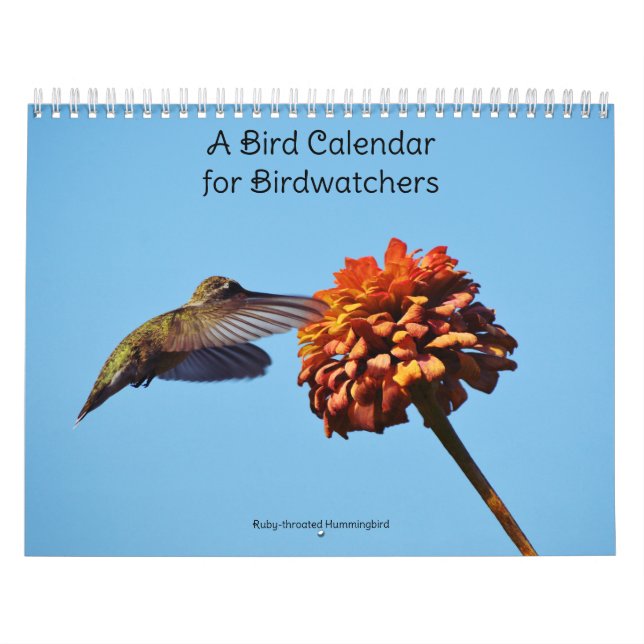 Um Calendário de Pássaros para Observadores de Pás (Capa)