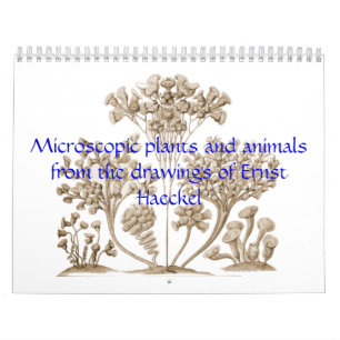 Um calendário de plantas e de animais