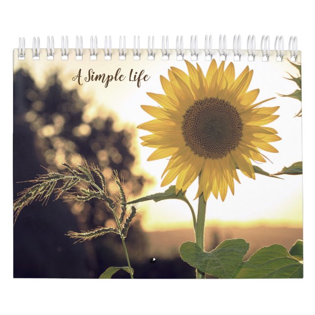 Um calendário de vida simples, rápido e simples (Capa)