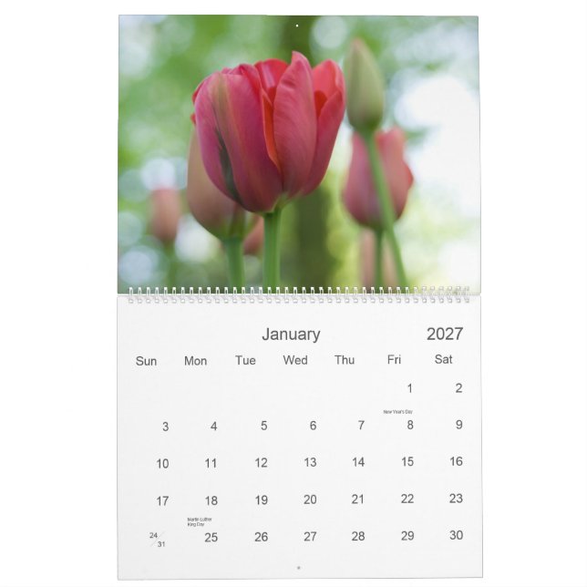 Um calendário do jardim 2009 da tulipa (Jan 2027)