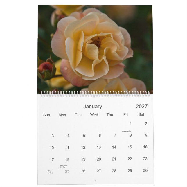 Um calendário do jardim de rosas 2010 (Jan 2027)