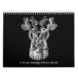 Um calendário dos desenhos de Ernst Haeckel.