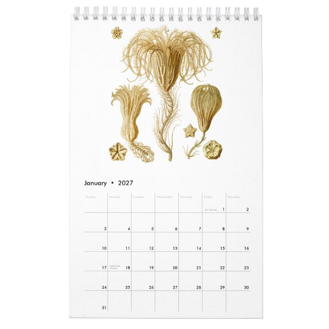 Um calendário dos desenhos de Ernst Haeckel (Jan 2027)