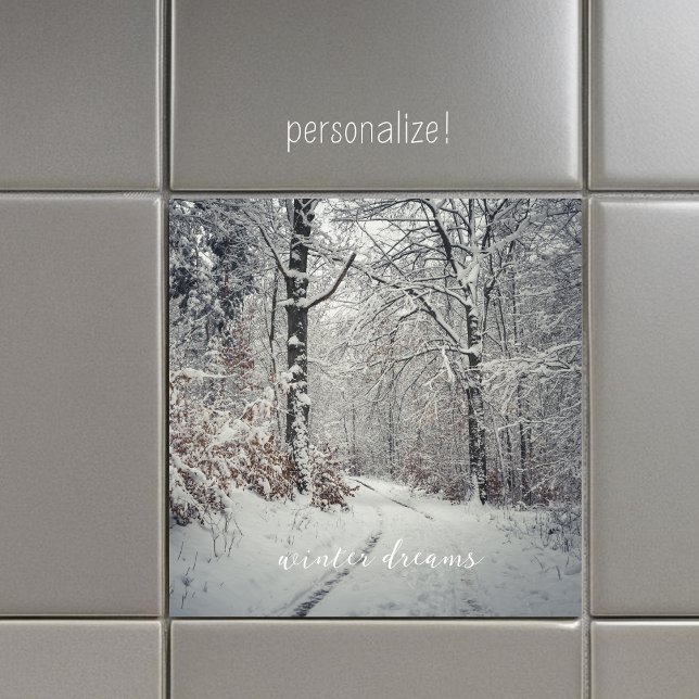 Um caminho através da floresta invernal encantada (Criador carregado)