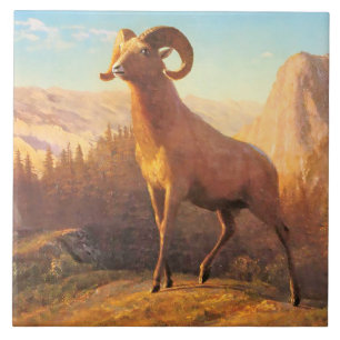 Um carneiro de montanha rochosa por A. Bierstadt