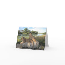 Um Cartão de Amizade